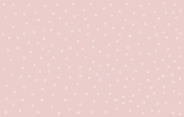 Fototapeta Růžové pozadí s bílými květy, Květinové fototapety, Populární fototapety, t00711v2 - Tapeko.co.cz