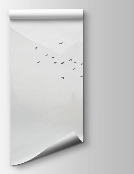 Fototapeta Ptáci letící nad mlžným lesem, Přírodní fototapety, Populární fototapety, w08756 - Tapeko.co.cz