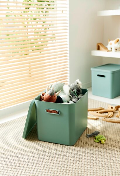 ÚLOŽNÝ BOX plast Rotho - Online Only domácnost & úklid, Online Only