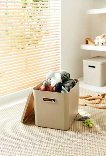 ÚLOŽNÝ BOX plast Rotho - Online Only domácnost & úklid, Online Only