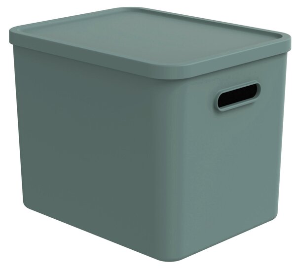 ÚLOŽNÝ BOX plast Rotho - Online Only domácnost & úklid, Online Only