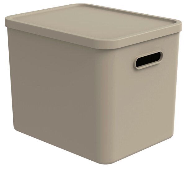 ÚLOŽNÝ BOX plast Rotho - Online Only domácnost & úklid, Online Only