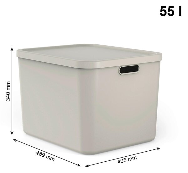 ÚLOŽNÝ BOX plast Rotho - Online Only domácnost & úklid, Online Only