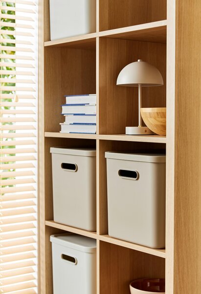 ÚLOŽNÝ BOX plast Rotho - Online Only domácnost & úklid, Online Only