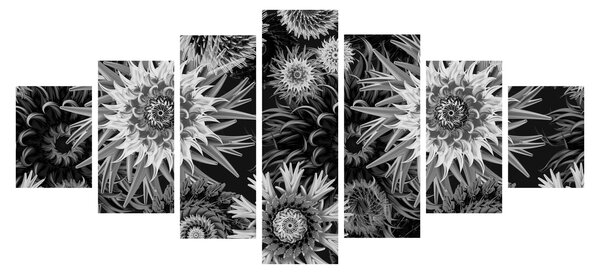 Obraz - Černobílé bodláky (210x100 cm)