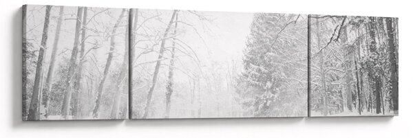 Obraz - Dřevěné molo v zimě (170x50 cm)