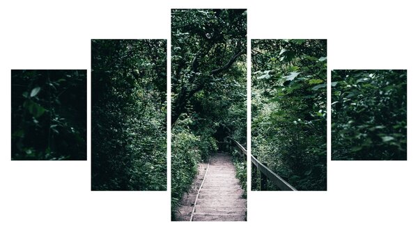 Obraz - Cesta lesem (125x70 cm)