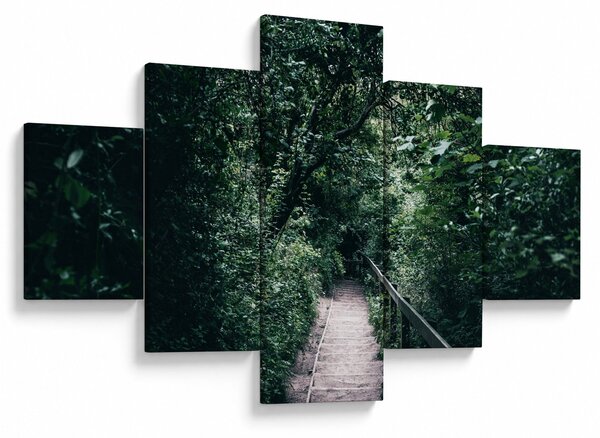 Obraz - Cesta lesem (125x70 cm)