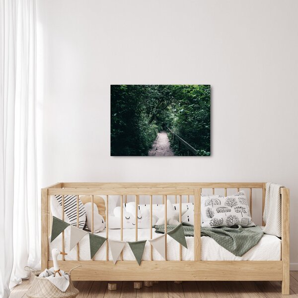 Obraz - Cesta lesem (70x50 cm)