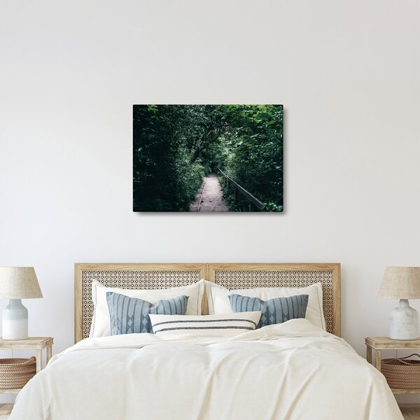 Obraz - Cesta lesem (70x50 cm)