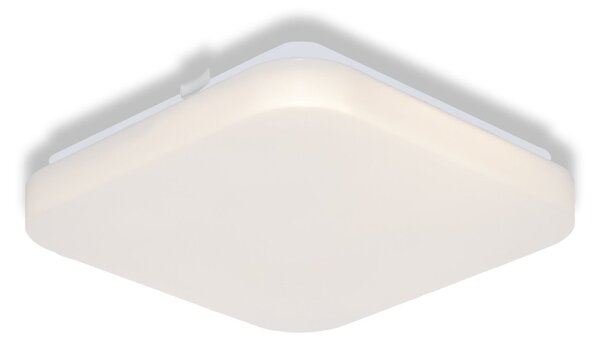 Stropní svítidlo SQUARE, 220x220mm, Teplá bílá, IP20