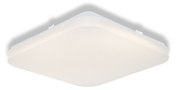 Stropní svítidlo SQUARE, 330x330mm, 24W, Teplá bílá, IP20