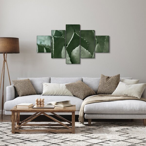 Obraz - Zelená agáve (125x70 cm)