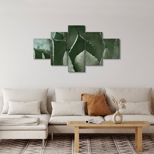 Obraz - Zelená agáve (125x70 cm)