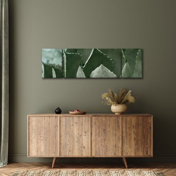 Obraz - Zelená agáve (170x50 cm)