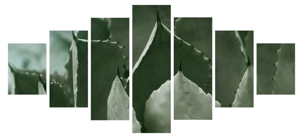 Obraz - Zelená agáve (210x100 cm)