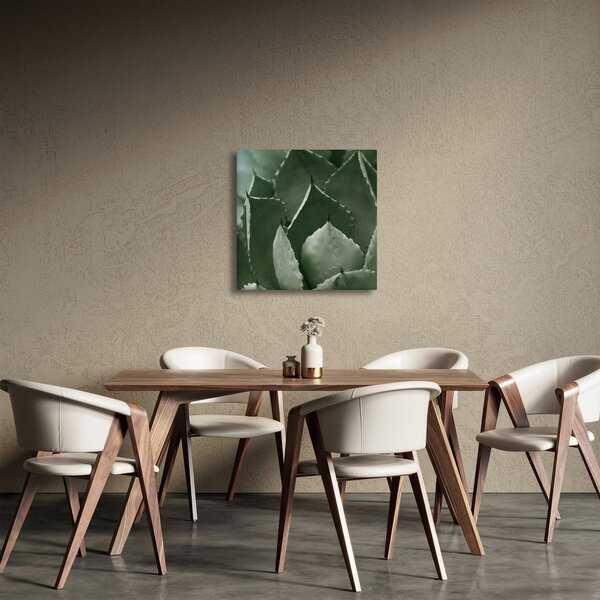 Obraz - Zelená agáve (30x30 cm)