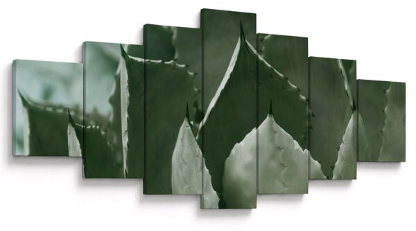 Obraz - Zelená agáve (210x100 cm)