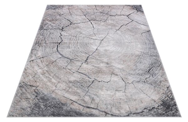 Luxusní kusový koberec Rosalia Katy RK0180 - 140x200 cm