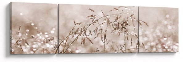 Obraz - Louka v hnědých tónech (170x50 cm)