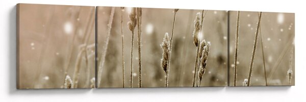 Obraz - Harmonická louka (170x50 cm)