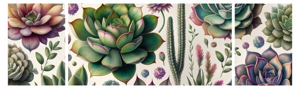 Obraz - Sukulenty (170x50 cm)