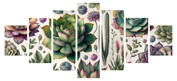 Obraz - Sukulenty (210x100 cm)