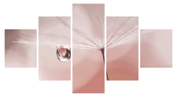 Obraz - Kapka rosy (125x70 cm)