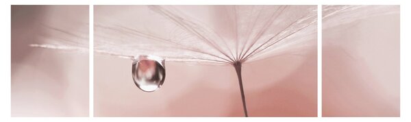 Obraz - Kapka rosy (170x50 cm)