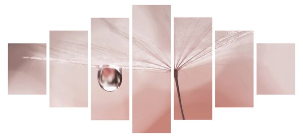 Obraz - Kapka rosy (210x100 cm)