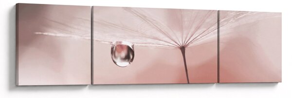 Obraz - Kapka rosy (170x50 cm)