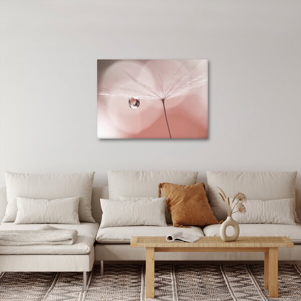 Obraz - Kapka rosy (70x50 cm)