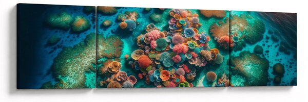 Obraz - Pohled do moře (170x50 cm)