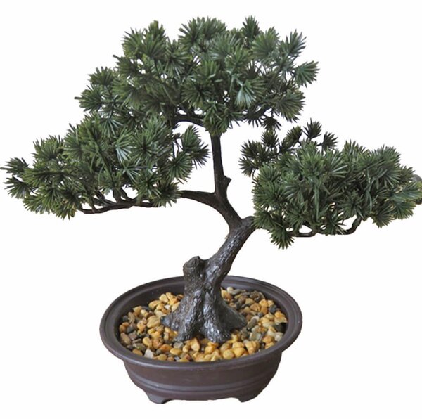 4Leaders Umělá bonsai v květináči s kamínky 27×27,6×13,5 cm