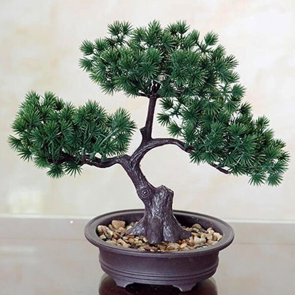 4Leaders Umělá bonsai v květináči s kamínky 27×27,6×13,5 cm