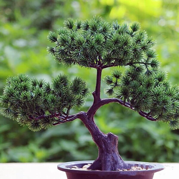 4Leaders Umělá bonsai v květináči s kamínky 27×27,6×13,5 cm