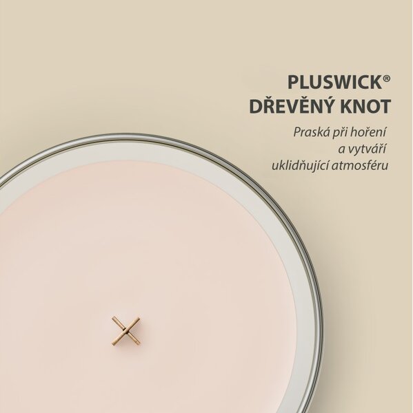 WoodWick Vanilla & Sea Salt svíčka střední