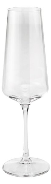 Skleničky na šampaňské/sekt z křišťálového skla 300 ml Essential Crystal BRANDANI (barva - křišťálové sklo)