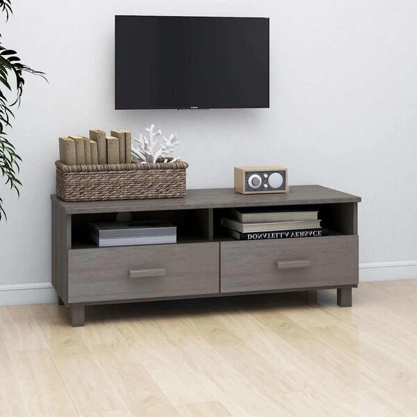 TV stolek HAMAR světle šedý 106 x 40 x 40 cm masivní borovice 340471