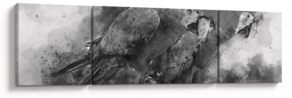 Obraz - Akvareloví papoušci (170x50 cm)