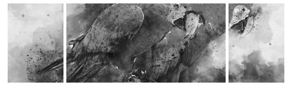 Obraz - Akvareloví papoušci (170x50 cm)