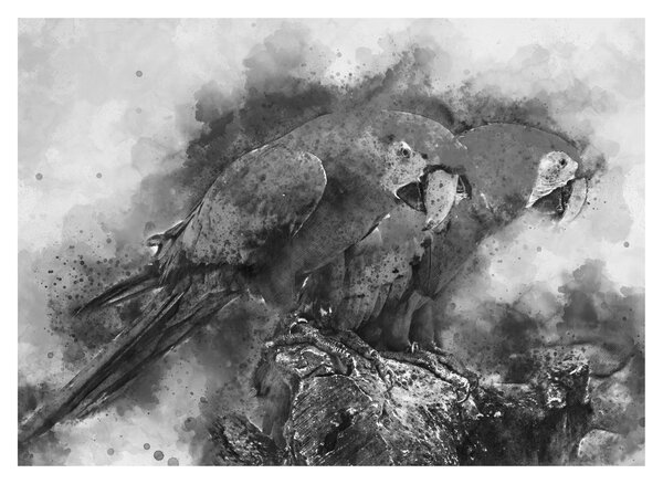 Skleněný obraz - Akvareloví papoušci (70x50 cm)