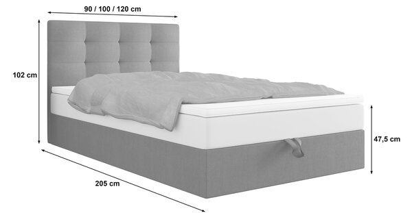 Čalouněná postel 100x200 DELILAH 4 - růžová
