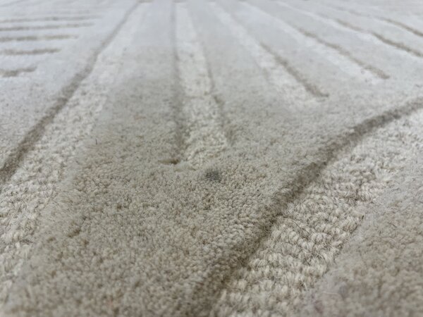 Flair Rugs, POŠKOZENÝ Kusový koberec Solace Zen Garden Natural, 200x290, béžová, ložnice