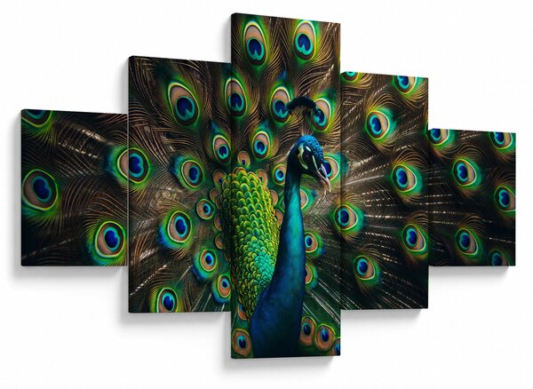Obraz - Páv (125x70 cm)
