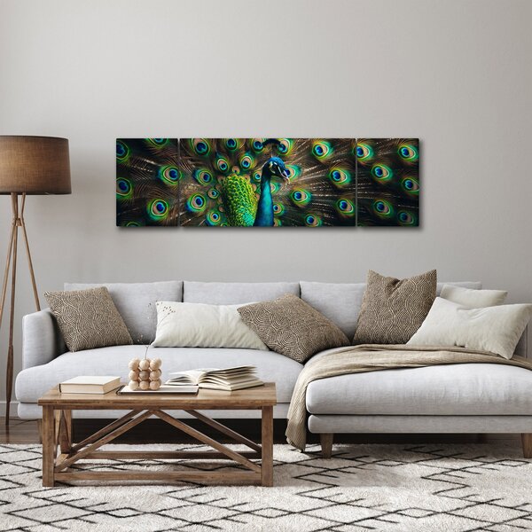 Obraz - Páv (170x50 cm)