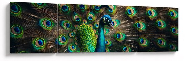 Obraz - Páv (170x50 cm)