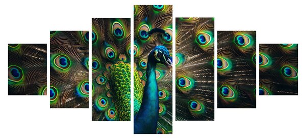 Obraz - Páv (210x100 cm)