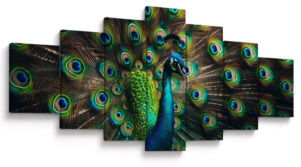 Obraz - Páv (210x100 cm)