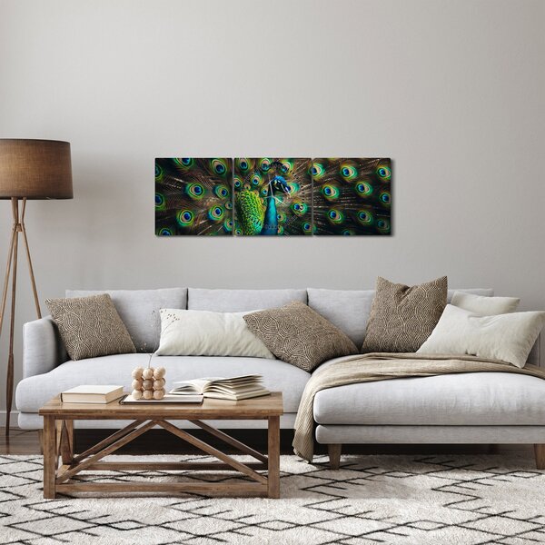 Obraz - Páv (s hodinami) (90x30 cm)